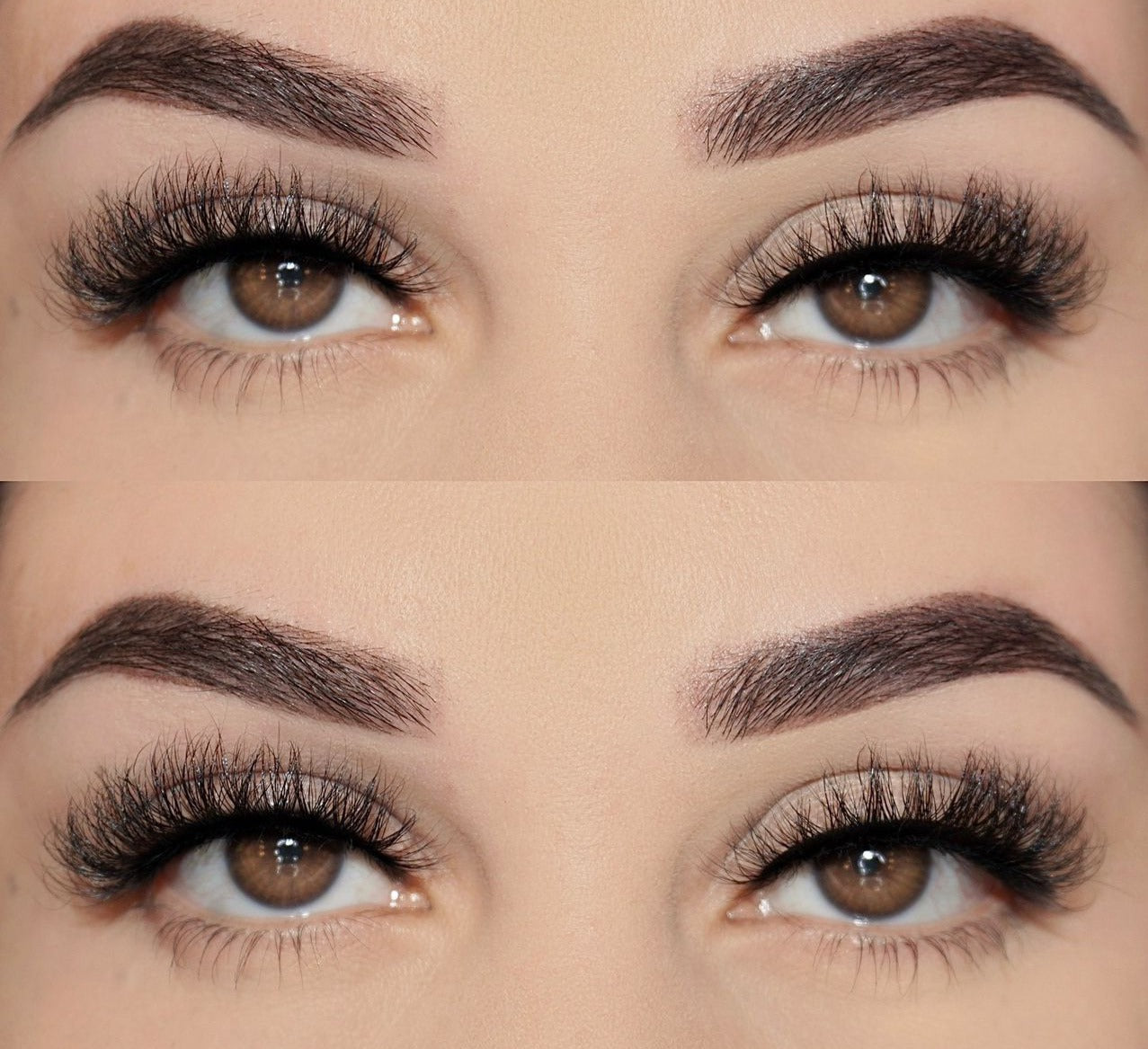‘Seven’ Lash