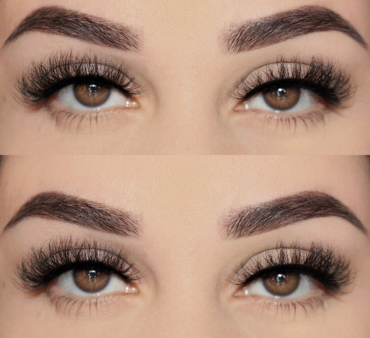 ‘Seven’ Lash